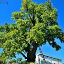 고성군청 이미지