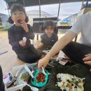 미애농장 | [아이랑 체험] 리얼농촌체험농장 미애친애, 모내기체험 2탄(쑥개떡 새참먹기, 쌀도정, 가축 먹이주기...