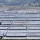 한반도소금산업 이미지