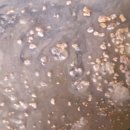 히트크리닝 이미지