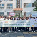 안다 동물보호소 이미지