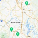 퍼피댕 강아지분양 무료분양 대전유성점말티즈포메라니안입양 이미지