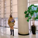 [대관공연] 2017 카즈미 타테이시 트리오 내한공연-지브리, 재즈를 만나다-광주 | 성남 공연) 2022 카즈미 타테이시 트리오 내한공연-지브리, 재즈를 만나다 후기