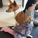 호정약국 | Make me your number one rockstar