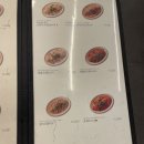 홍익돈까스 충장점 이미지