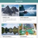 엔티링크