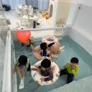 제주 아라동 대관 온수풀 수영장 키즈카페 마더웍스 스위밍룸