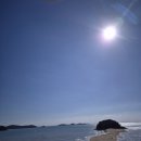 목섬칼국수 | 인천 영흥도 <목섬 칼국수> 방문 후기 (애견동반 가능!)