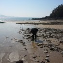 솔향기길1코스(당봉) 이미지