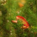 소향공원 이미지