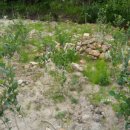 평화종묘사 이미지