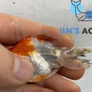 구라미농장 이미지