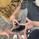 안경박사화도점 | 23년 6월_ 아이필 안경원 김재도 박사님 정기 검진 (feat. 시지각과 행동_ 성향에 대해서..)
