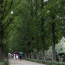 솔방솔방 이미지