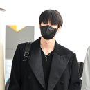 도영타운