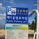 세븐일레븐 강릉 세인트 세인트존스점 | 강릉 아기랑 물놀이 강문해변 솔향 힐링 해변길 산책길 공영주차장 정보 세븐일레븐 세인트존스점