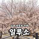 일루소 | 김해 벚꽃뷰 카페 일루소 벚꽃 실시간 개화 포토존 후기