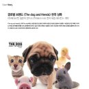 DOG.(독점) 이미지