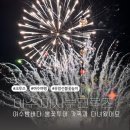 불꽃휴게점 | 여수 여행 필수코스 이사부크루즈 불꽃놀이 탑승 후기