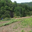 마루목장 이미지