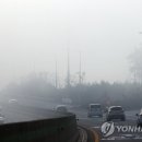 정안로 이미지