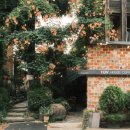 토브하우스커피3 이미지