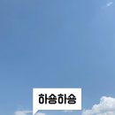 하숑하숑 이미지