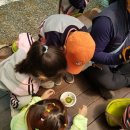 대청유치원 이미지