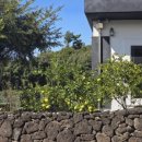 스테이 마당 이미지