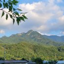 네네치킨일동점 이미지