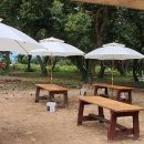 대인농장 이미지