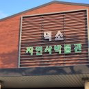 하나교 생태통로 앞 | [남양주 아이와 갈만한곳] 덕소자연사박물관: 공룡 화석과 생태 체험 후기!