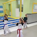 경희대 아이스타 태권도장 이미지