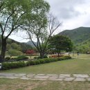 울돌목 숭어