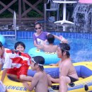 자연이좋은사람들 Daum카페