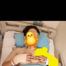 호국로1519번길 이미지