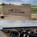 코리아축산 이미지