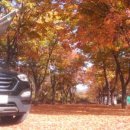 하나로4길 이미지