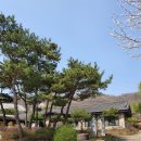 큰고을농원 이미지