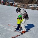 휘닉스파크 렌탈샵 조이몬스터 이미지