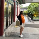 홍현희 카카오 검색결과