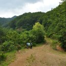 백운산(원주) / 백운산자연휴양림 울창한 숲길 이미지