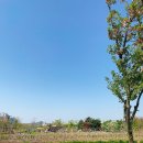 식물원사거리 이미지