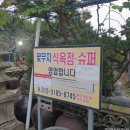 꽃무지식육점 이미지