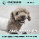 온하루 동물의료센터 이미지