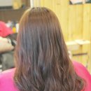 바니헤어 이미지