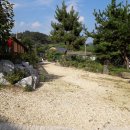 노송부동산 이미지