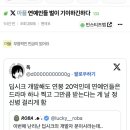 연예인들 벌이 기이하긴하다 이미지