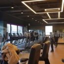 바디플레이스 이미지