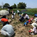 밀양아리랑오토캠핑장 이미지
